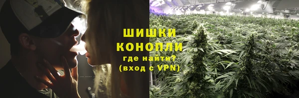 соль ск Горнозаводск