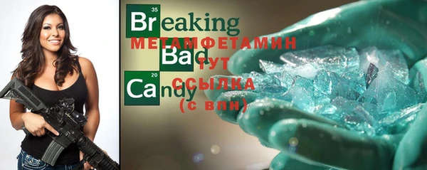 PSILOCYBIN Вяземский