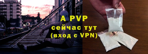 ПСИЛОЦИБИНОВЫЕ ГРИБЫ Вязьма