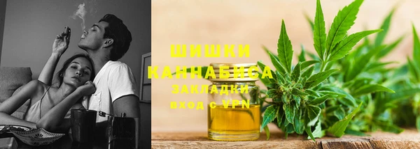 ПСИЛОЦИБИНОВЫЕ ГРИБЫ Вязьма