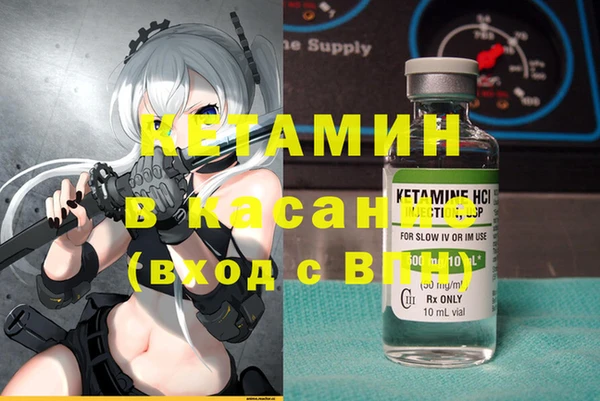 PSILOCYBIN Вяземский