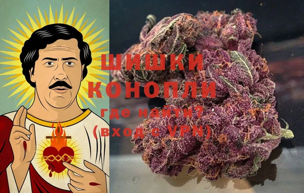 ПСИЛОЦИБИНОВЫЕ ГРИБЫ Вязьма