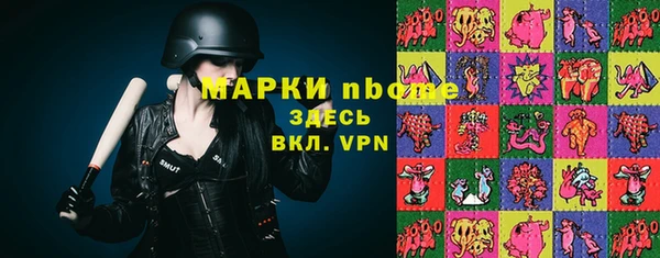 PSILOCYBIN Вяземский