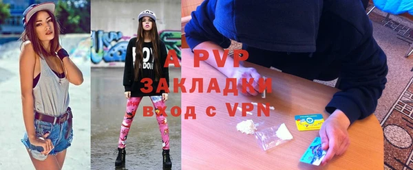 ПСИЛОЦИБИНОВЫЕ ГРИБЫ Вязьма