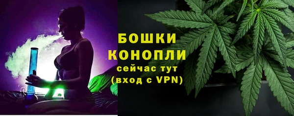 PSILOCYBIN Вяземский