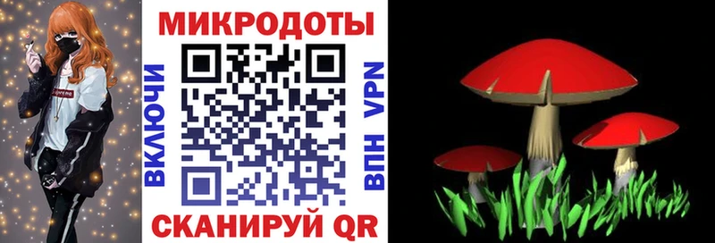 Псилоцибиновые грибы Cubensis  купить  сайты  omg tor  Дмитров 